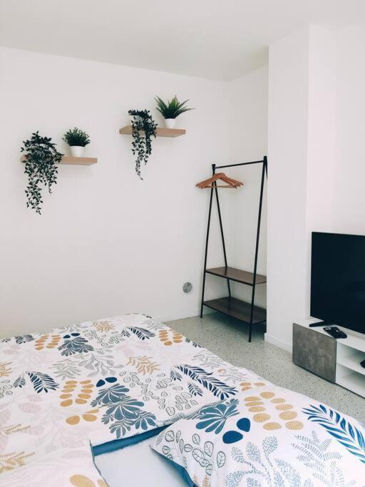 Magnifique Appartement T3 50 M2 Obernai Ngoại thất bức ảnh
